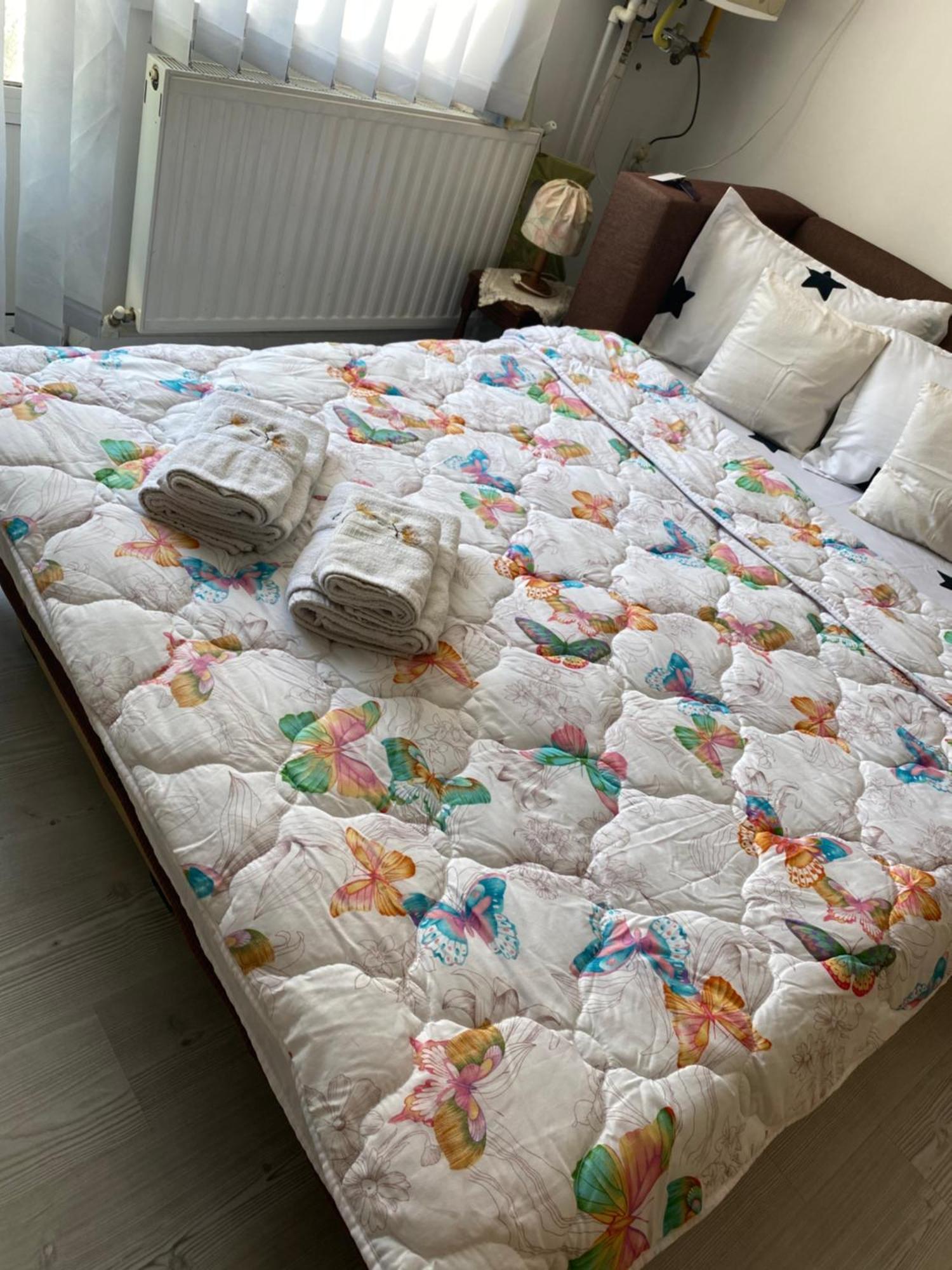 Apartament Anca Drambarean Alba Iulia Zewnętrze zdjęcie